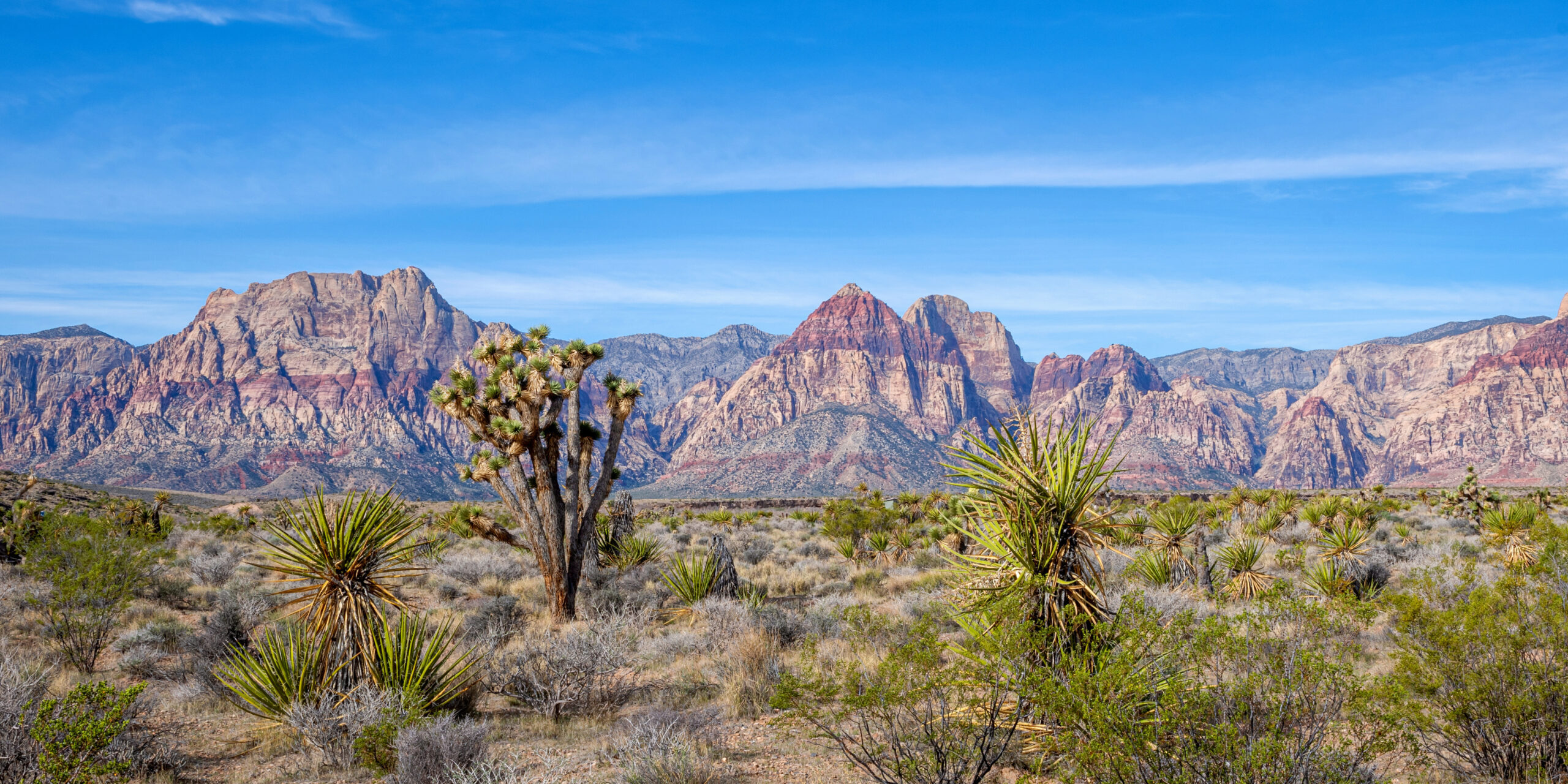 Red Rock Canyon National Conservation Area in Nevada