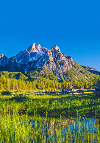 idaho-trust-company-and-estate-services idaho trust company and estate services